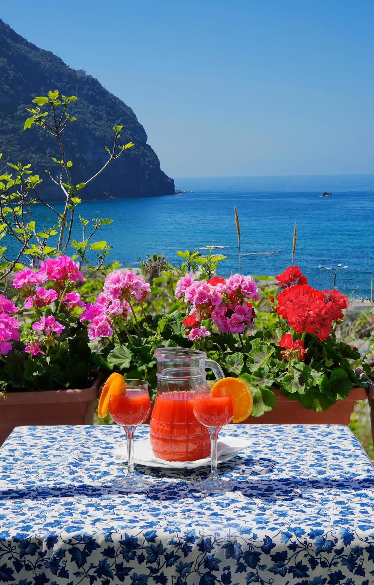 Hotel Casa Del Sole Forio di Ischia Exterior foto